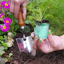 Load image into Gallery viewer, Person planting a small plant in soil with gardening tools and flowers in the background