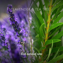 Load image into Gallery viewer, Lavender & Tea Tree Shampoo Bar by Friendly Soap