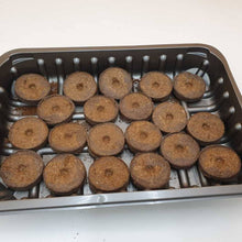 Load image into Gallery viewer, Metal tray with brown cylindrical objects on a white background