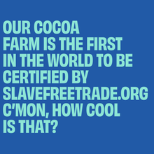 Load image into Gallery viewer, UP-UP Chocolate - Wild Mint Dark Chocolate Bar