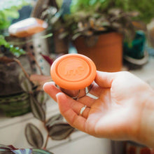 Load image into Gallery viewer, Dressing Pot's by Elephant Box