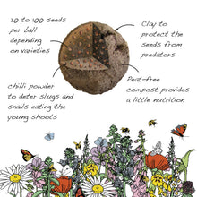 Load image into Gallery viewer, Illustration of a seed ball with text explaining its components and benefits, surrounded by flowers and insects.
