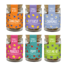 Load image into Gallery viewer, Set of six glass jars with colorful labels and cork lids, each containing wildflower seed balls.
