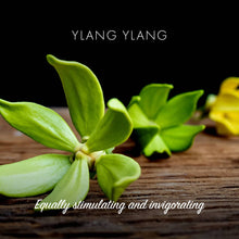 Load image into Gallery viewer, Ylang Ylang Soap Bar by Friendly Soap
