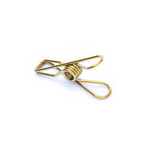 Load image into Gallery viewer, Stainless Steel Clothes Pegs by Green Island

