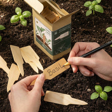 Load image into Gallery viewer, Person labeling basil plants with wooden tags on a garden bed.
