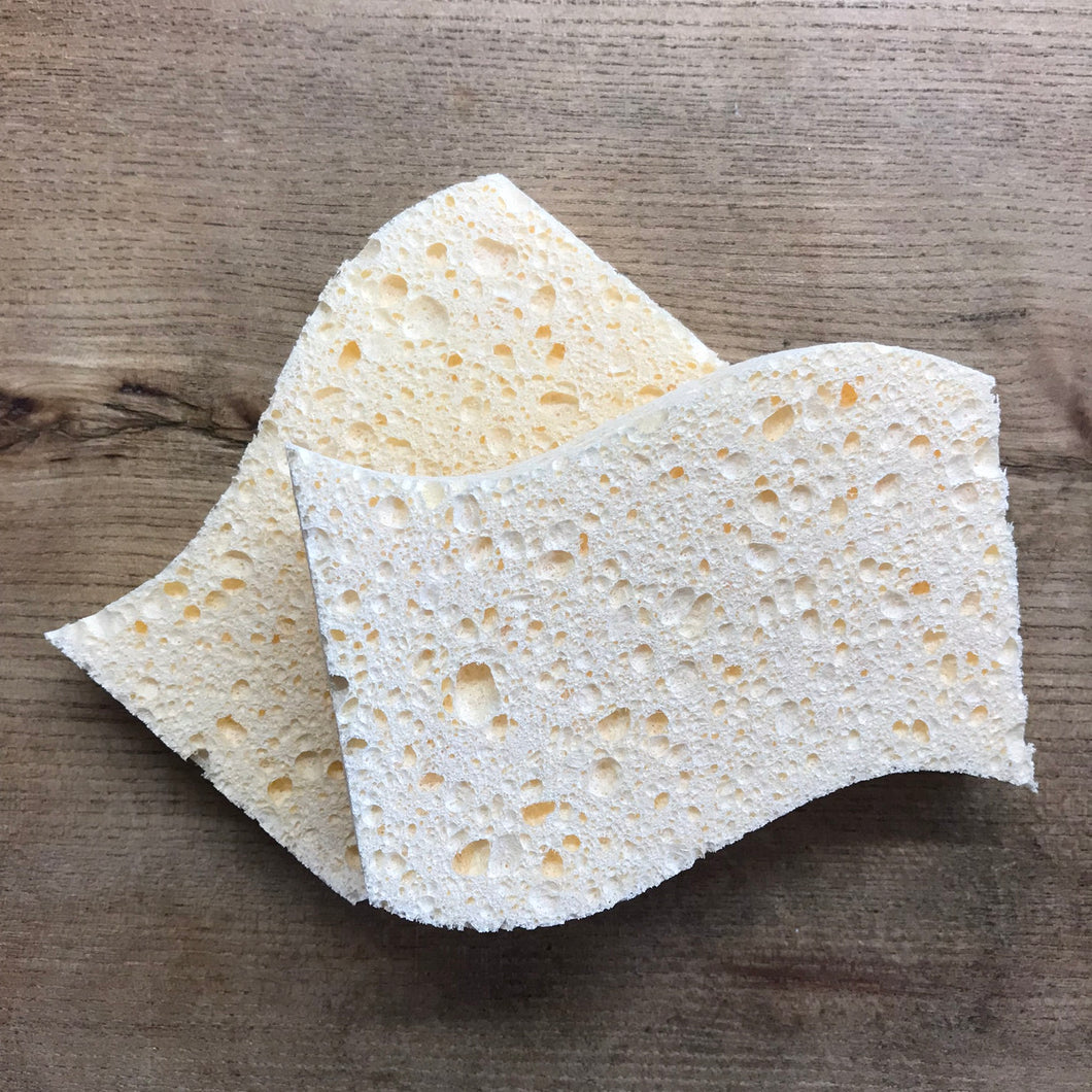 Biodegradable Sponges