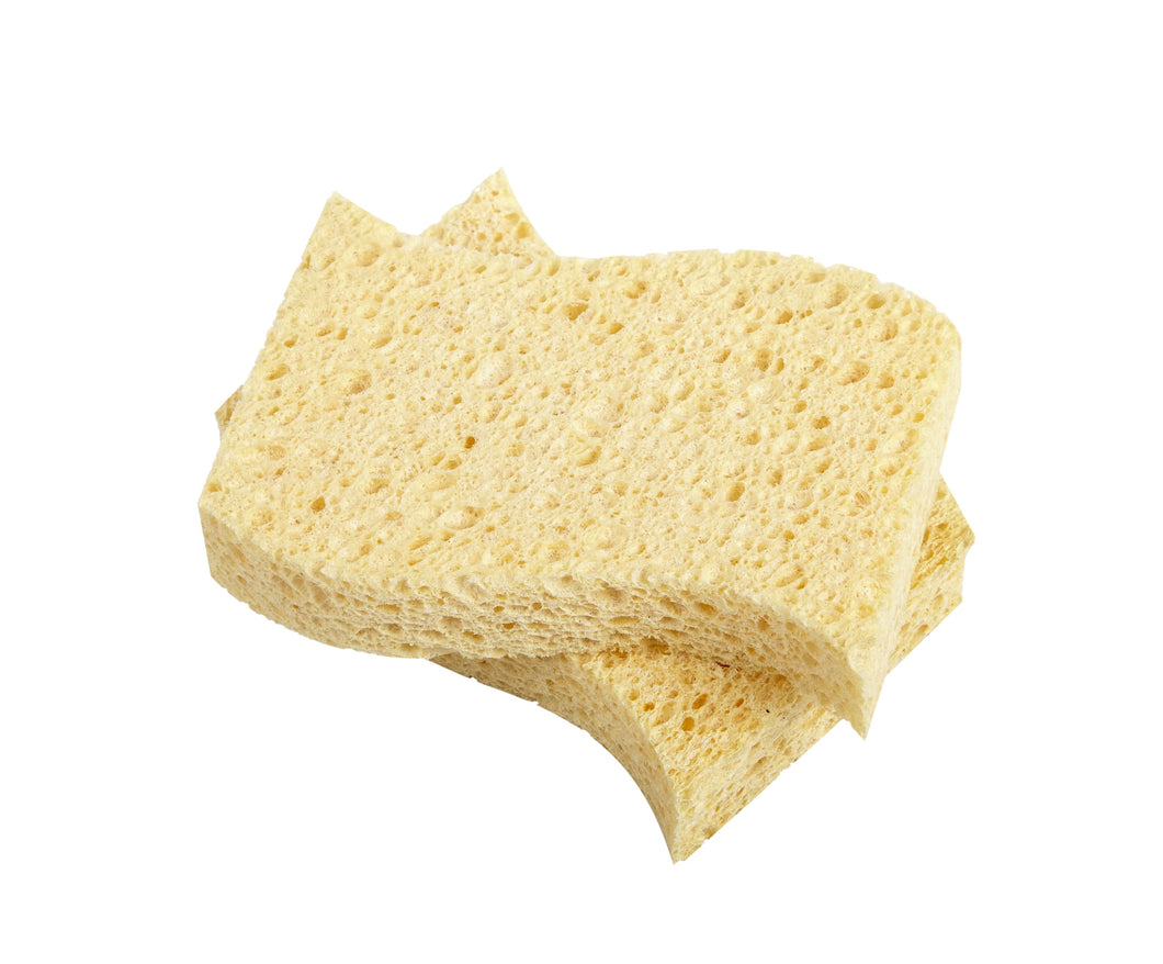 Biodegradable Kitchen Sponges