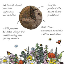 Load image into Gallery viewer, Illustration of a seed ball with text explaining its components and benefits, surrounded by flowers and insects.
